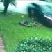 NHTSA разследва фаталната катастрофа с автомобил „Тесла“, който се вряза в къща в Тексас и отне живота на една жена