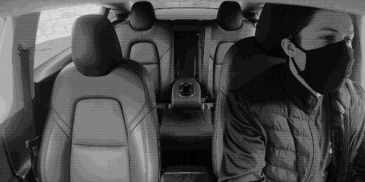 Tesla cabin facing camera view e1586716902856