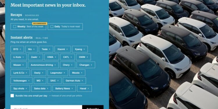 newsletter 1 800x450 1