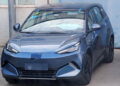 Byd great seagull first look